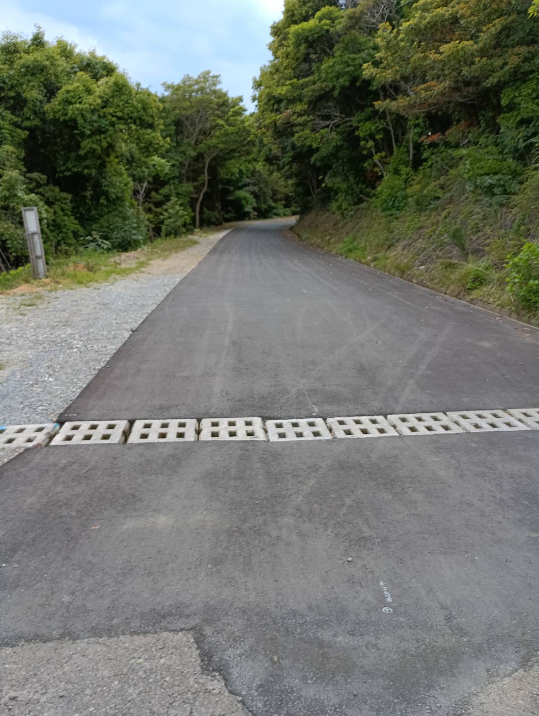 道路整備の様子