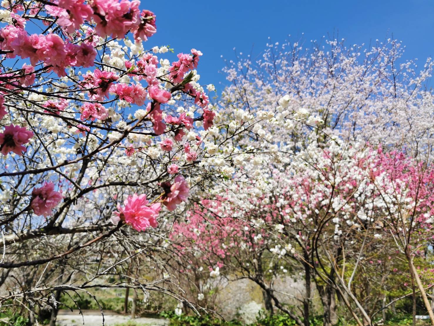 四季を通じて楽しめる
